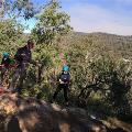 Participants abseiling in the Perth hills
